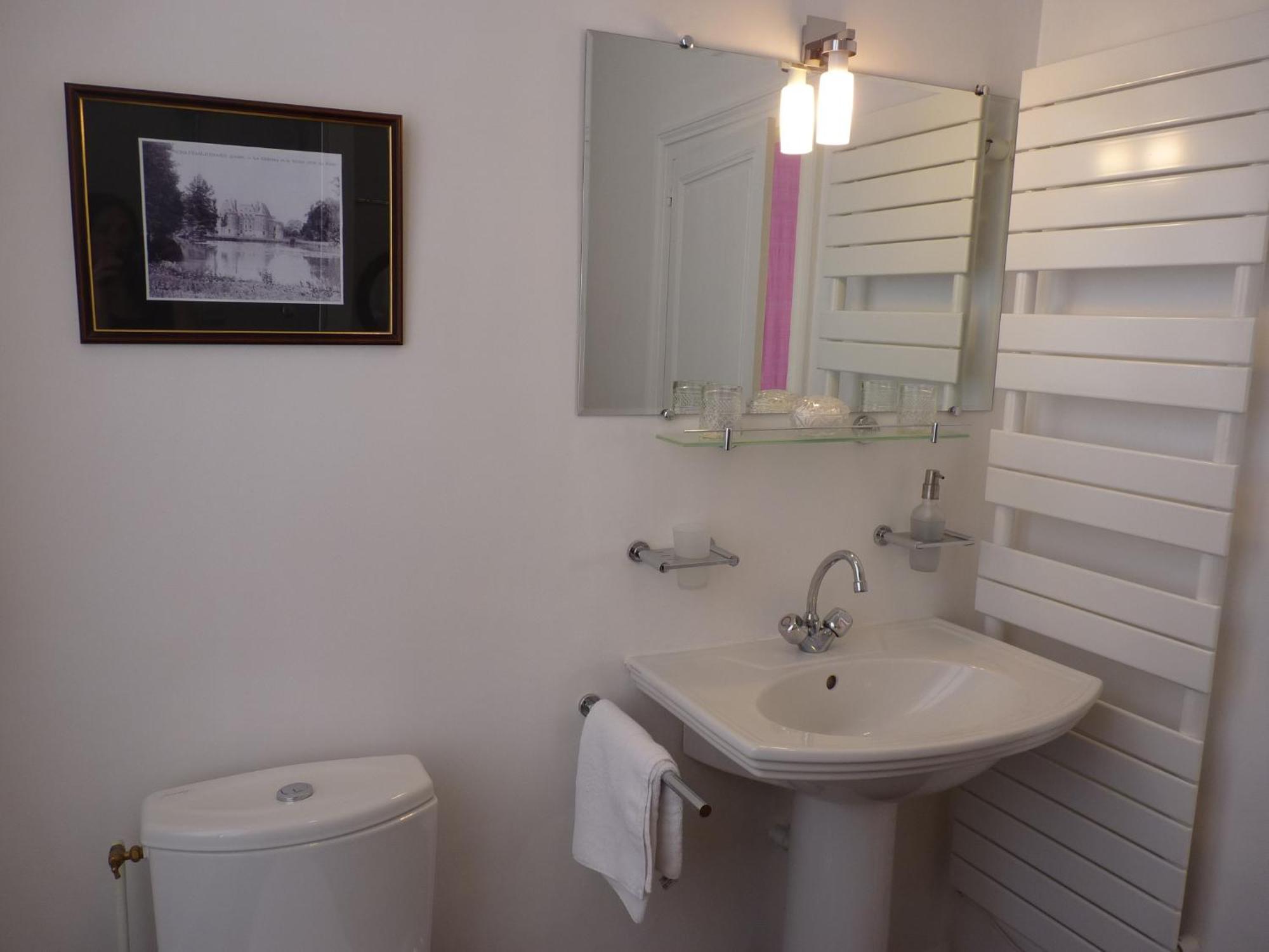 Le Clos Saint Nicolas Château-Renard Kamer foto