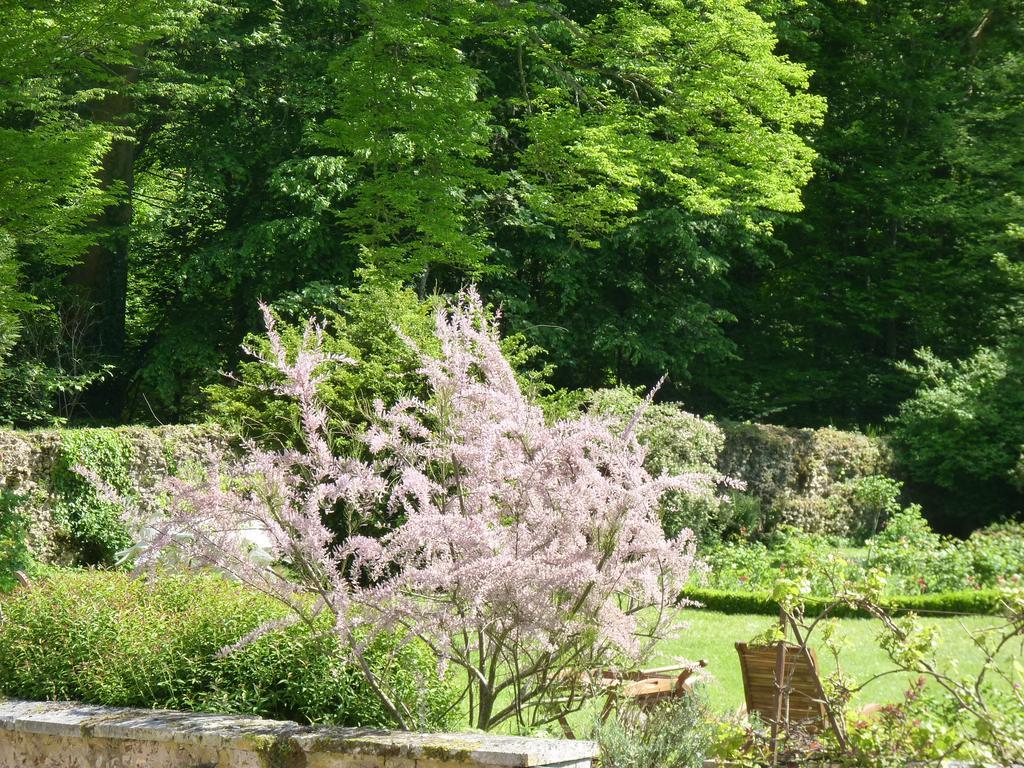 Le Clos Saint Nicolas Château-Renard Buitenkant foto