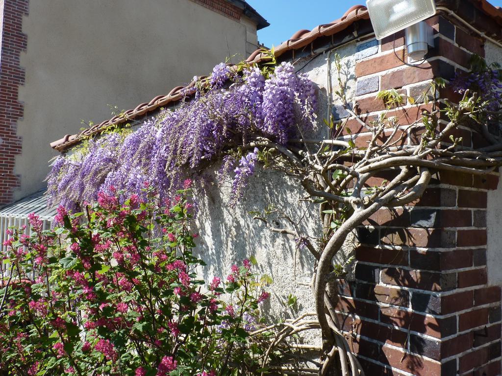Le Clos Saint Nicolas Château-Renard Buitenkant foto